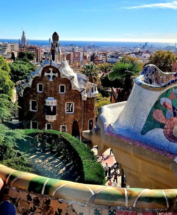 WhatsApp Image 2026-02-11 at 19.11.23