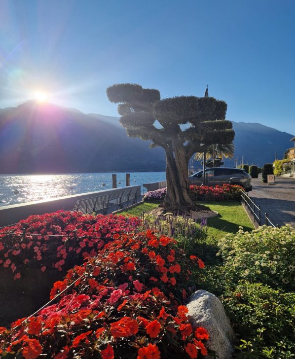 WhatsApp Image 2026-02-11 at 19.11.25