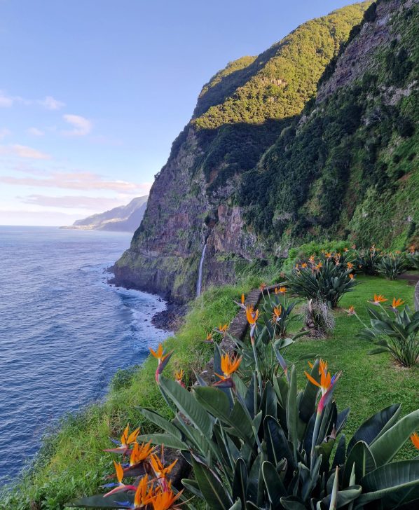 WhatsApp Image 2026-02-11 at 19.11.28 (1)