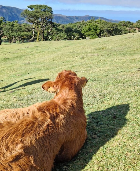 WhatsApp Image 2026-02-11 at 19.11.28