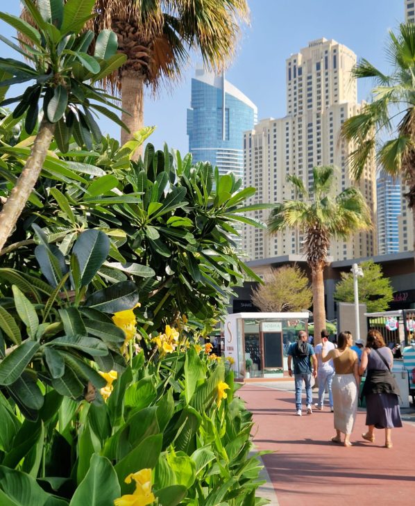 WhatsApp Image 2026-02-11 at 19.11.31