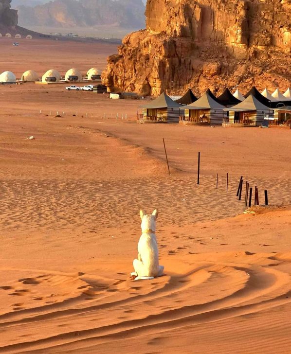 WhatsApp Image 2026-02-11 at 19.44.54 (2)