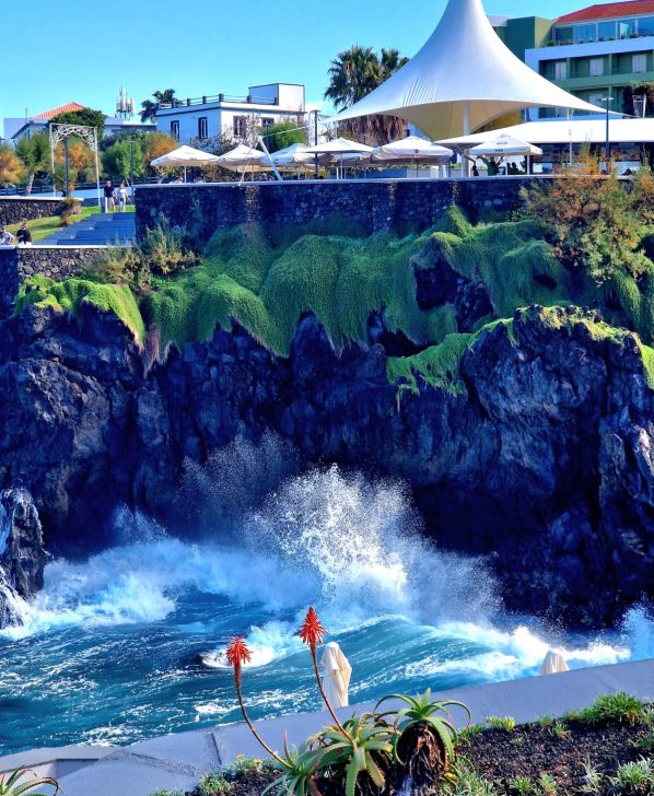 WhatsApp Image 2026-02-11 at 19.44.54