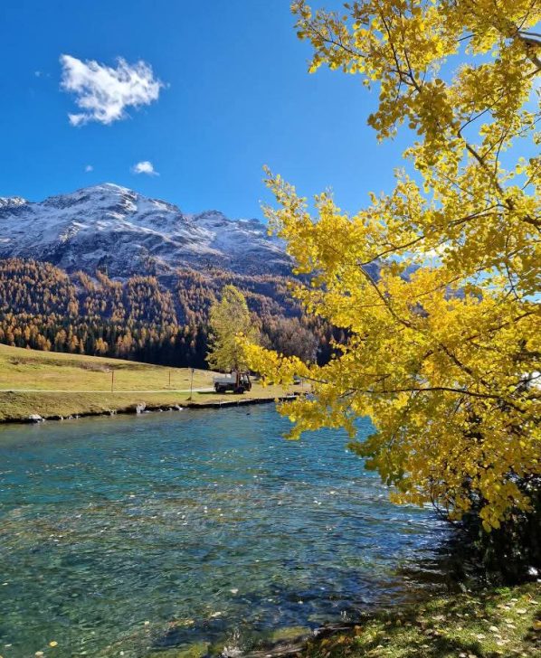 WhatsApp Image 2026-02-12 at 18.56.24 (1)